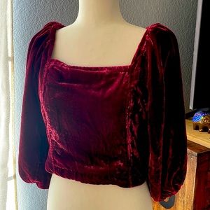 Free people velvet blouse.